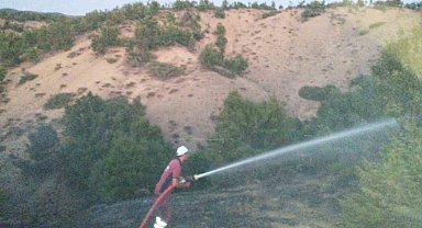 Bingöl'de orman yangını büyümeden söndürüldü