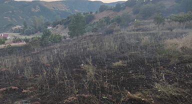 Bingöl'de otluk alandaki yangın ormana sıçramadan söndürüldü