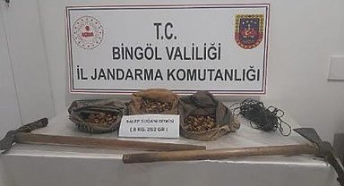 Bingöl'de O Bitkiyi Toplayan 3 kişiye 1 Milyon 161 Bin Lira Ceza Kesildi