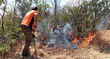 Orman Yangınları Söndürüldü