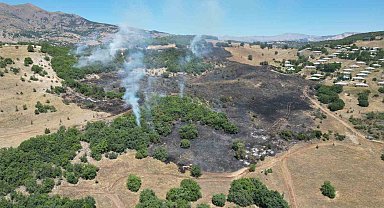 Bingöl'deki orman yangınları söndürüldü