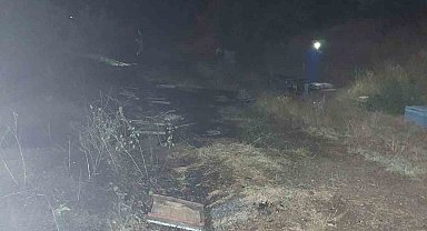 Bingöl'deki örtü yangınında arı kovanları da zarar gördü