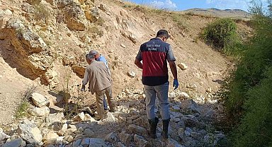 Biri uçurumdan atlayınca diğerleri peşinden koştu: 43 koyun telef oldu