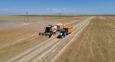 Bitlis'te buğday hasadı başladı
