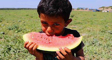 Bunaltıcı sıcaklar sulu meyvelere yöneltti