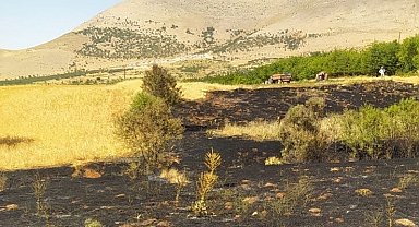 Doğanşehir'de anız yangını