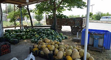 Doğu'nun Çukurova'sından çevre illere sebze ve meyve satılıyor