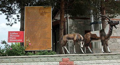 Efsaneleşen ve balıkların kutsal sayıldığı sudan, şifa bulmak için içiyorlar