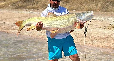 Elazığ'da 39 kiloluk dev Fırat turnası yakalandı