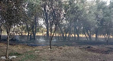Elazığ'da bahçede korkutan yangın