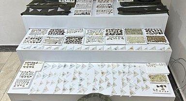 Elazığ'da endemik olduğu değerlendirilen bin 472 adet kelebek ele geçirildi