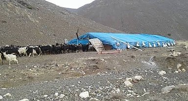 Erciş'te çobanlar arasında kavga: 1 ölü, 3 yaralı