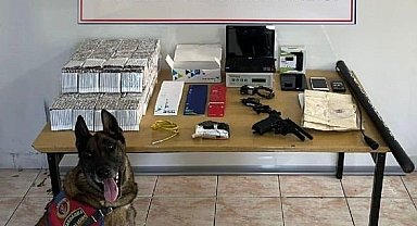 Erzincan jandarma suç olaylarına geçit vermiyor