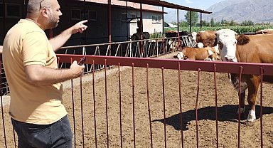 Erzincan'da hayvancılık işletmelerine sağlık taraması