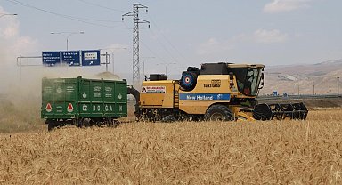 Erzincan'da hububat tarlalarında hasat başladı