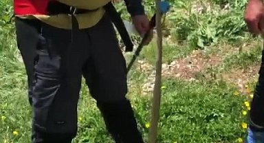 Erzincan'da sıcak havalar yılan görülme vakalarını artırdı