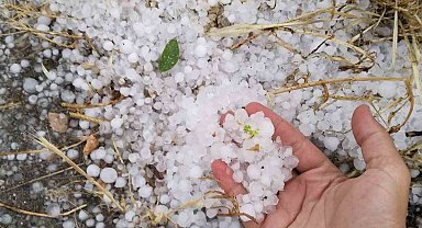 Erzincan'ın Tercan ilçesinde dolu etkili oldu
