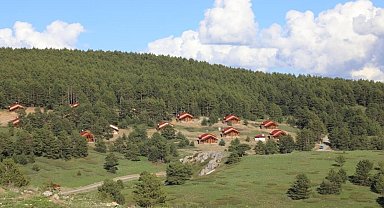 Erzincan'ın yeşil cenneti: Dumanlı Tabiat Parkı