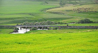 Erzurum mera ve çayır zengini