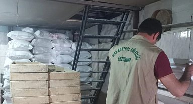 Erzurum'da 330 işyerine denetim