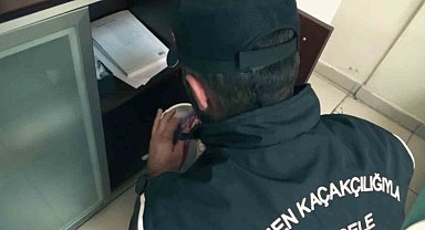 Erzurum'da kaçak göçmen operasyonu