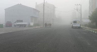 Göle'de sis etkili oldu