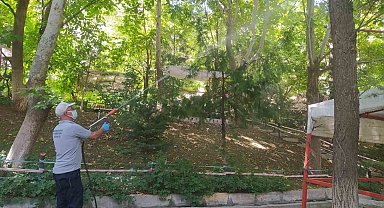 Hakkari'de haşere ile mücadele devam ediyor