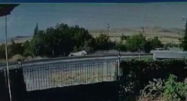 Hızını alamayan otomobil bahçeye uçtu: Olay anı güvenlik kamerasında