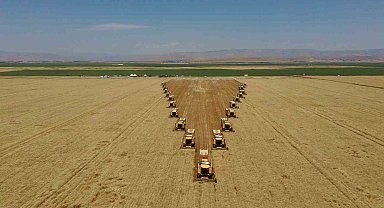 Hububat hasadından 7 milyar TL gelir bekleniyor