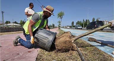 Iğdır Belediyesi şehrin farklı yerlerine yeni ağaçlar dikti
