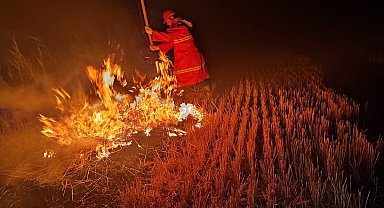 Iğdır'da çıkan anız yangını söndürüldü
