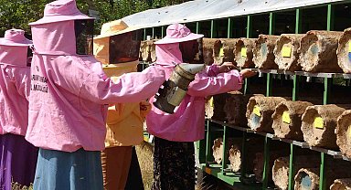 Kadın arıcılara arılı kovan desteği