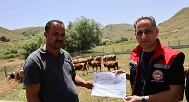Kars hayvancılığında "Hastalıktan Ari İşletme" dönemi başlıyor