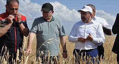 Kars'ta yüzde 50 hibeyle dağıtılan tohumlar tarlalara ekildi