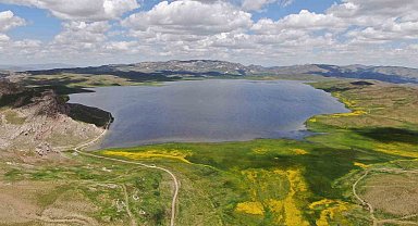 Keşiş Yaylası'nda açan rengarenk çiçekleri görenler bölgeye hayran kalıyor