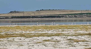 Kuş cenneti Arin Gölü'nde kuraklık tehlikesi