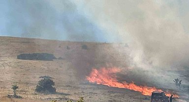 Malatya'da bir hektarlık alanda anız yangını