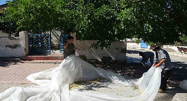 Malatya'da dutun pekmez yolcuğu başladı