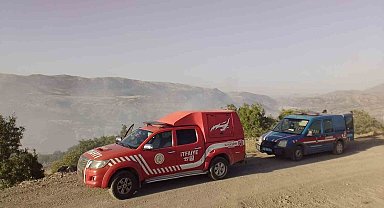 Malatya'da ormanlık alanda yangın