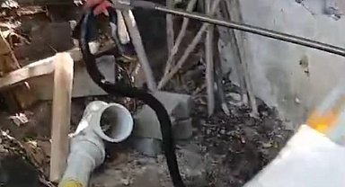 Malatya'da yılan paniği