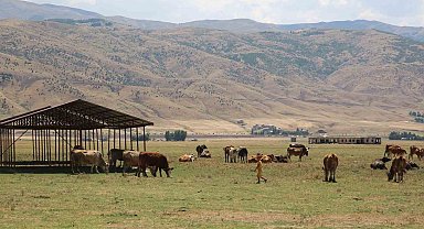 Muş'ta bir köy karantinaya alındı