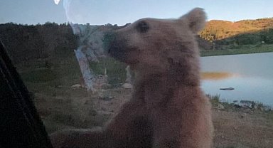 Nemrut'ta korku dolu anlar