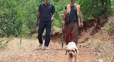 Şehir şehir gezerek köpeğiyle 'kara elmas' arıyor