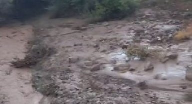 Sel ve fırtınada kaybolan inekler bulundu