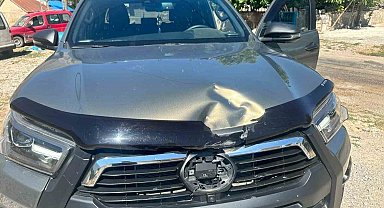 Tunceli'de ağaç, seyir halindeki aracın üzerine devrildi