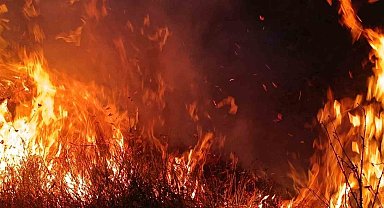 Tunceli'de otluk ve ağaçlık alanda yangın