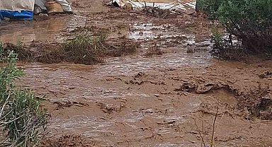 Tunceli'de sağanak nedeni ile yaylacıların çadırlarını su bastı