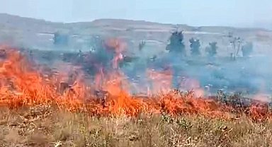 Tunceli'deki arazi yangını söndürüldü