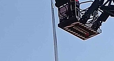 Üniversite personelinden karga kurtarma operasyon