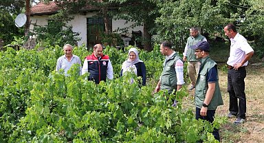 Üzümlü' de dolu zarar verdi